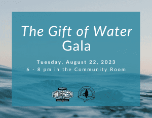Water in the background. Light blue square that reads " The gift of Water" Gala