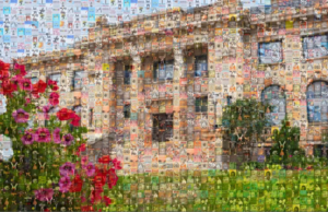 Free to Read Collage